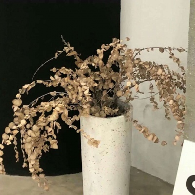 兽设零基础绘画实用教程FurryQQ群